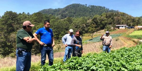 Honduras: Productores conocen características de papa para industria