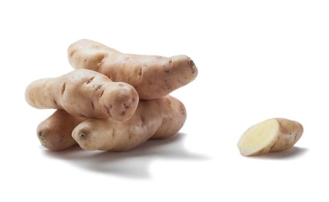 HORN OF SPOIL HORN OF SPOIL