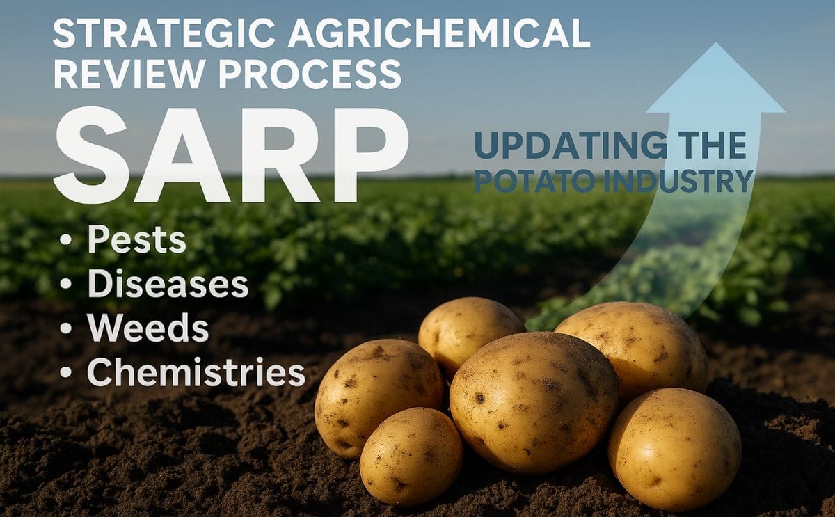 Hort Innovation and AUSVEG are updating the agrichemical review to help potato growers maintain access to effective crop-protection tools.