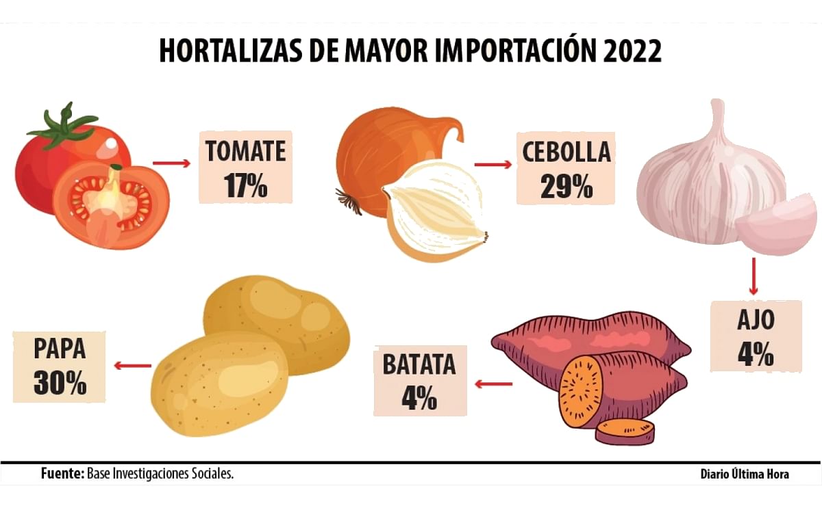 Hortalizas De Mayor Importación 2022