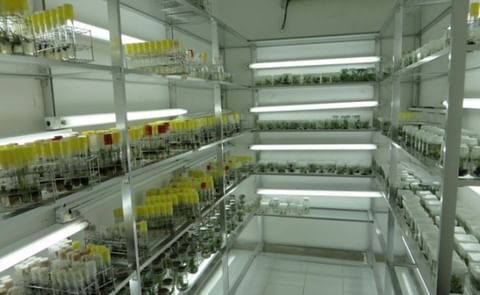 Utkal Tubers India Pvt Ltd would set up a tissue culture laboratory. Shown here is a part of a tissue culture laboratory in Tanzania a.o. involved in micropropagation of potatoes (Courtesy: Tenguru Horticultue Research and Training Institute) Utkal Tubers India Pvt Ltd would set up a tissue culture laboratory. Shown here is a part of a tissue culture laboratory in Tanzania a.o. involved in micropropagation of potatoes (Courtesy: Tenguru Horticultue Research and Training Institute)