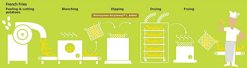 How Acrylaway reduces Acrylamide in French Fries How Acrylaway reduces Acrylamide in French Fries