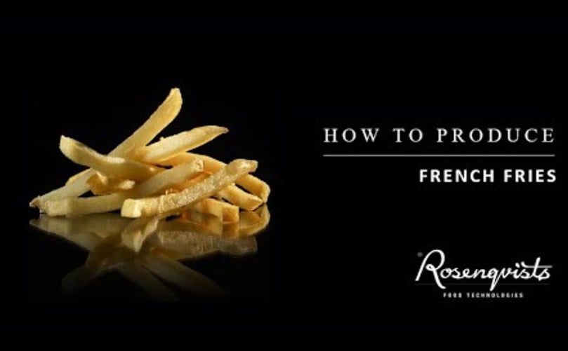 Rosenqvists French Fry Line with Optional Coating System Rosenqvists French Fry Line with Optional Coating System