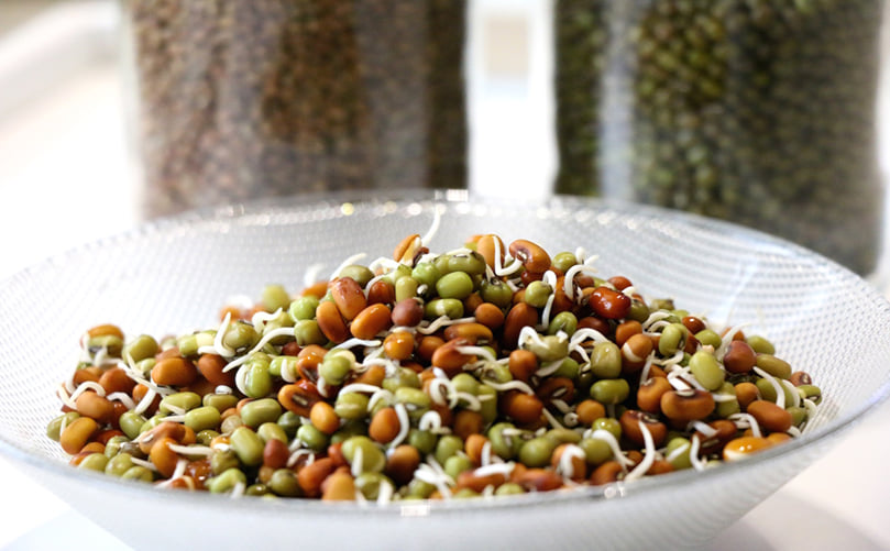 Sprouted Seeds: Nutrition, Digestibility and Processing Sprouted Seeds: Nutrition, Digestibility and Processing