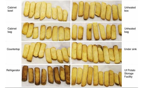 Here is what happens to the fry color of potatoes if you store them for five weeks in different places in your home. Take home message (pun intended): do NOT store them in the refrigerator (Courtesy: University of Idaho Extension) Here is what happens to the fry color of potatoes if you store them for five weeks in different places in your home. Take home message (pun intended): do NOT store them in the refrigerator (Courtesy: University of Idaho Extension)