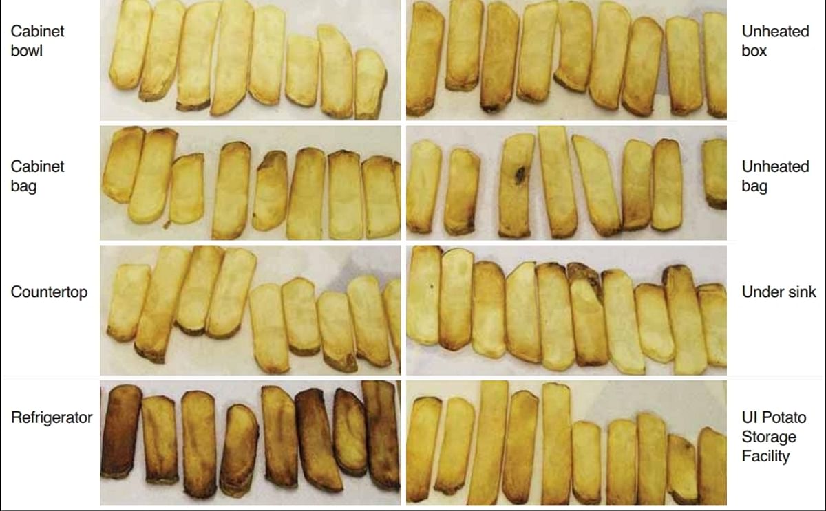 Here is what happens to the fry color of potatoes if you store them for five weeks in different places in your home. Take home message (pun intended): do NOT store them in the refrigerator (Courtesy: University of Idaho Extension)