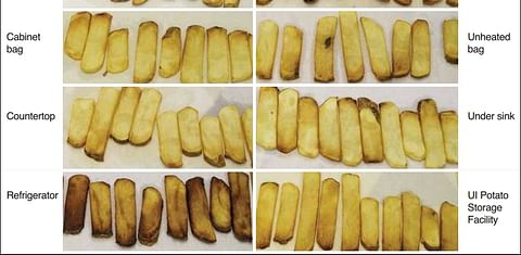 How to store potatoes at home