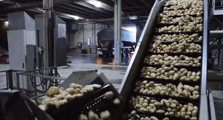 How McDonald's Canada French Fries are made. The french fry factory shown in the video is the McCain Foods Canada Grand Falls production facility. 