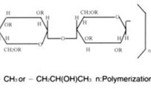  Hydroxy Propyl Methyl Cellulose (HPMC)