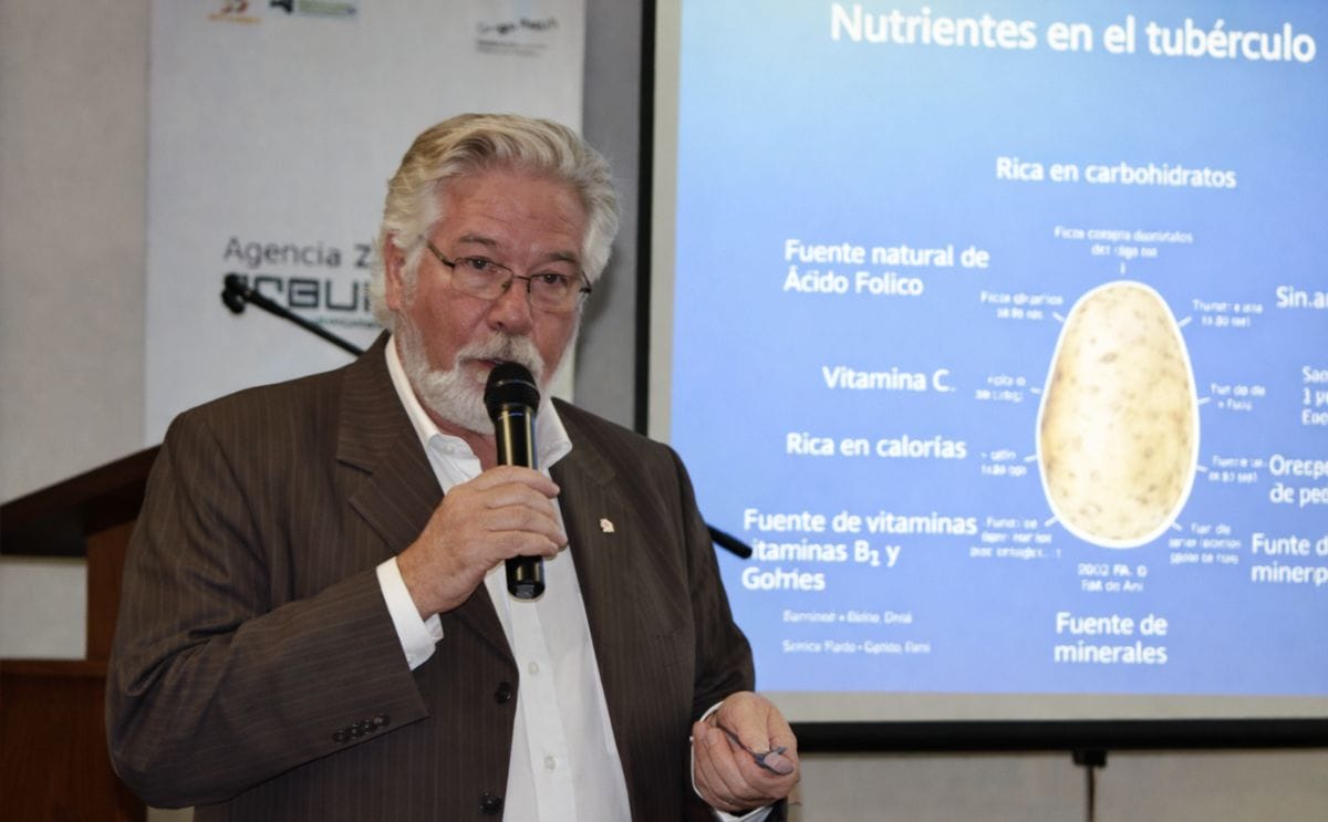 Chile: Mercado de la papa regional busca repuntar precios con nuevos formatos de venta