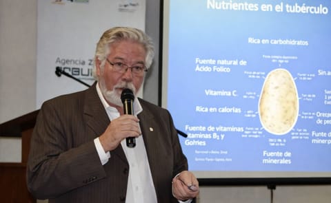 Chile: Mercado de la papa regional busca repuntar precios con nuevos formatos de venta Chile: Mercado de la papa regional busca repuntar precios con nuevos formatos de venta