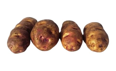 HUAYRO MACHO HUAYRO MACHO