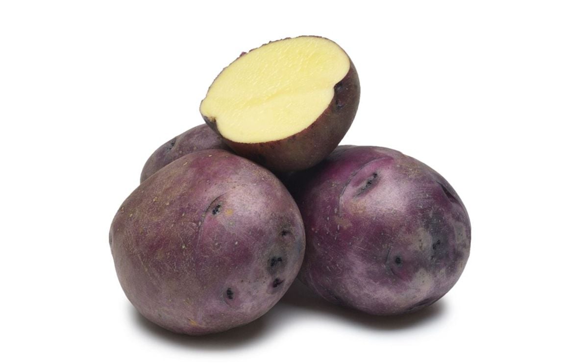 HUCKLEBERRY GOLD HUCKLEBERRY GOLD
