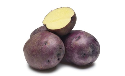 HUCKLEBERRY GOLD HUCKLEBERRY GOLD