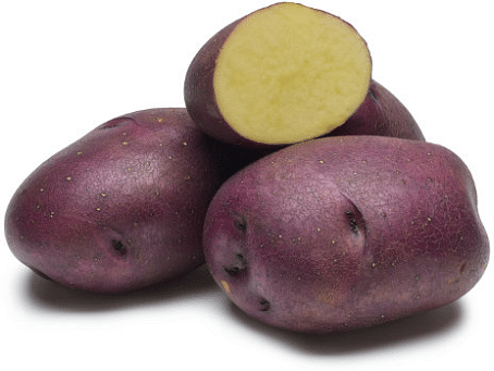 Huckleberry Gold (Source: PVMI) Huckleberry Gold (Source: PVMI)
