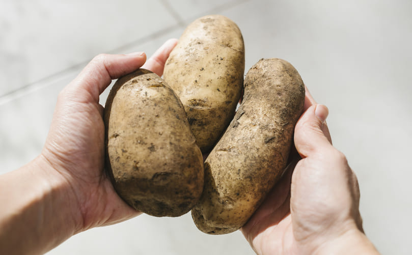 Growing the Next Generation of Potatoes 