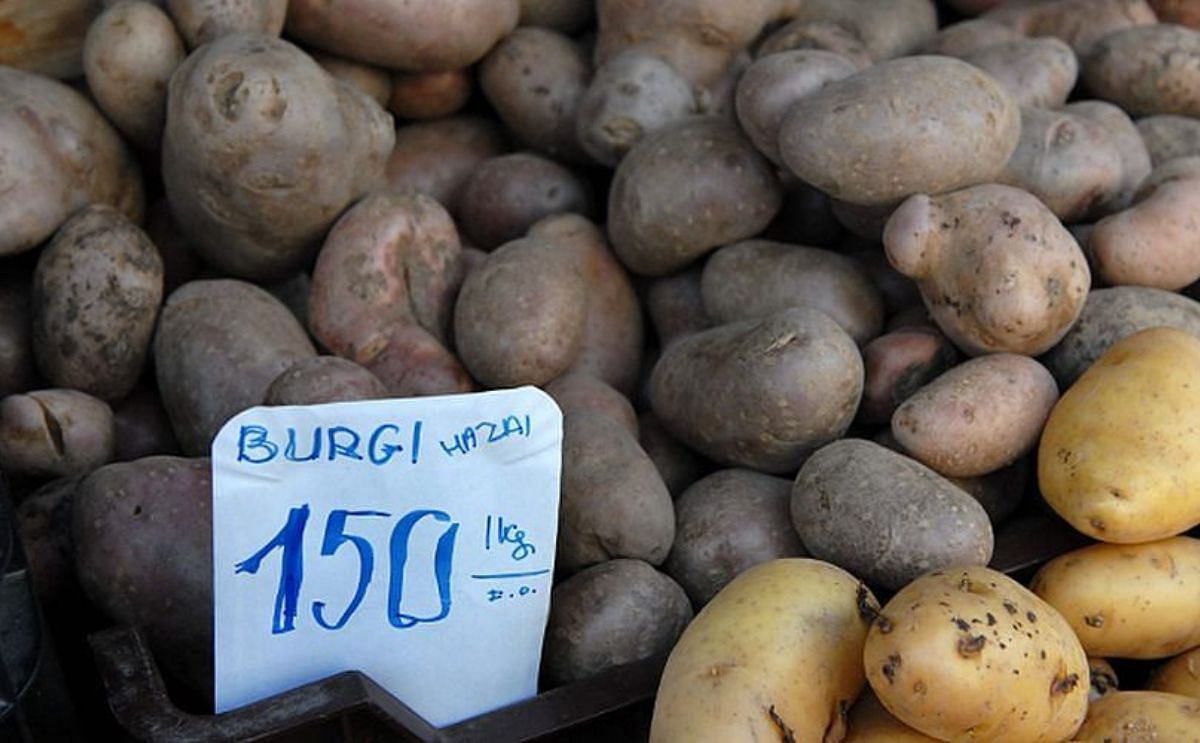 Hungarian Potato Growers Squeezed: Low Prices AND Low Yields Hungarian Potato Growers Squeezed: Low Prices AND Low Yields