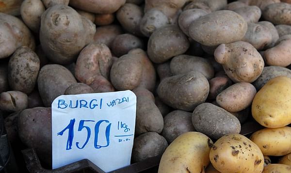 Hungarian Potato Growers Squeezed: Low Prices AND Low Yields