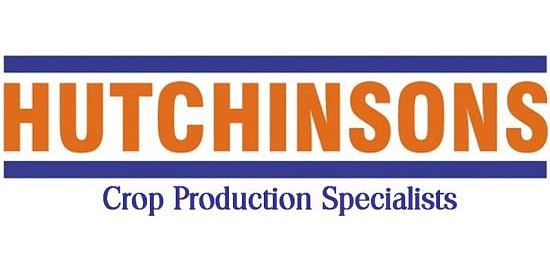 Hutchinson Limited