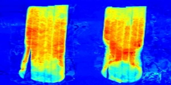  hyperspectral image of potato strips