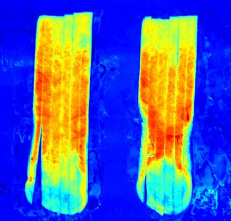 Hyperspectral image of sugar end potato strips, as captured by Key Technology’s Product Definer, aids in designing new sorting systems that solve outstanding product quality problems Hyperspectral image of sugar end potato strips, as captured by Key Technology’s Product Definer, aids in designing new sorting systems that solve outstanding product quality problems