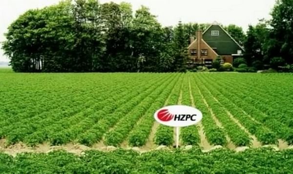 HZPC publishes forecasted price seed potatoes crop 2013