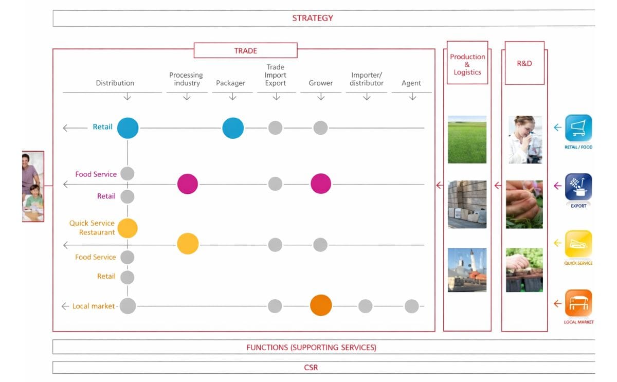 HZPC Activiteiten (HZPC Jaarverslag 2012-2013) HZPC Activiteiten (HZPC Jaarverslag 2012-2013)
