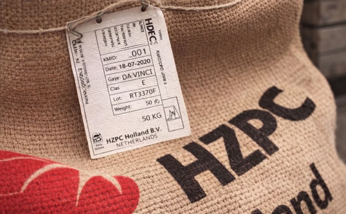 Value of certificates of potato breeder HZPC rise 9%