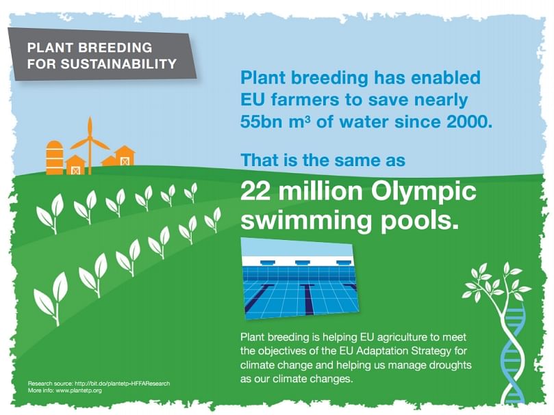 Plant breeding has enabled EU farmers to save nearly 55bn m3 of water since 2000 (all food - not just potatoes) Plant breeding has enabled EU farmers to save nearly 55bn m3 of water since 2000 (all food - not just potatoes)