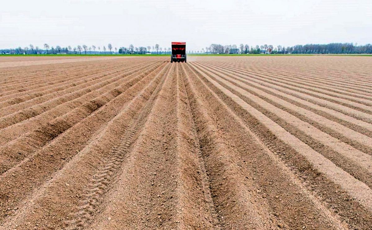 Supply of Certificates Positive for Active Growers Supply of Certificates Positive for Active Growers