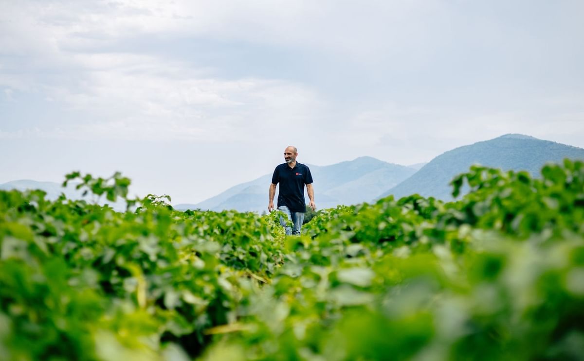 Hans Huistra, CEO of Royal HZPC Group Hans Huistra, CEO of Royal HZPC Group