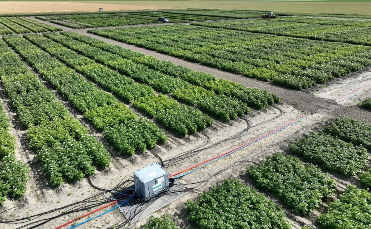 Research fields at Royal HZPC Group, where potato varieties are studied to improve nutrient-use efficiency and crop performance.