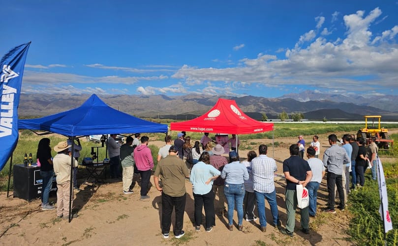 HZPC América Latina organiza un Día de Campo en Mendoza, Argentina, mostrando nuevas variedades de papa y el potencial productivo de la región