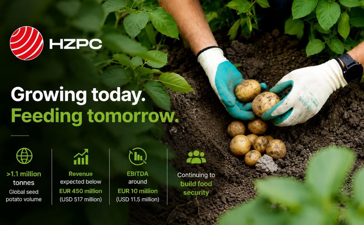 Royal HZPC Group expects lower revenue and EBITDA for 2025/2026 as global potato markets face oversupply, price pressure and weaker demand despite continued growth in seed potato volumes.