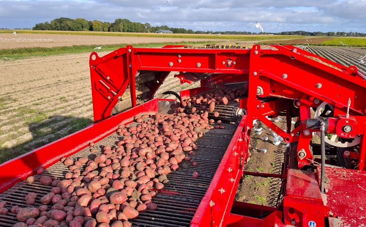 Royal HZPC Group Forecasts Revenue Growth to USD 523 Million in 2024/2025 Royal HZPC Group Forecasts Revenue Growth to USD 523 Million in 2024/2025