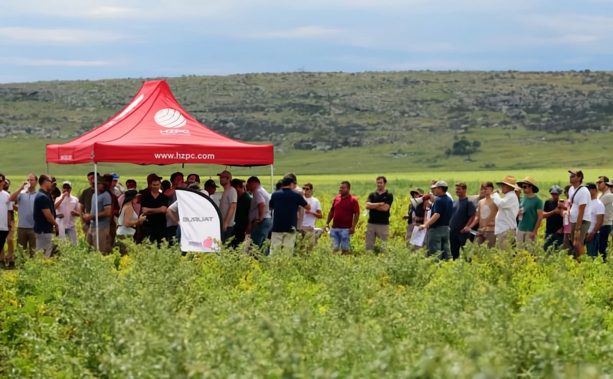 HZPC Latin America potato field day