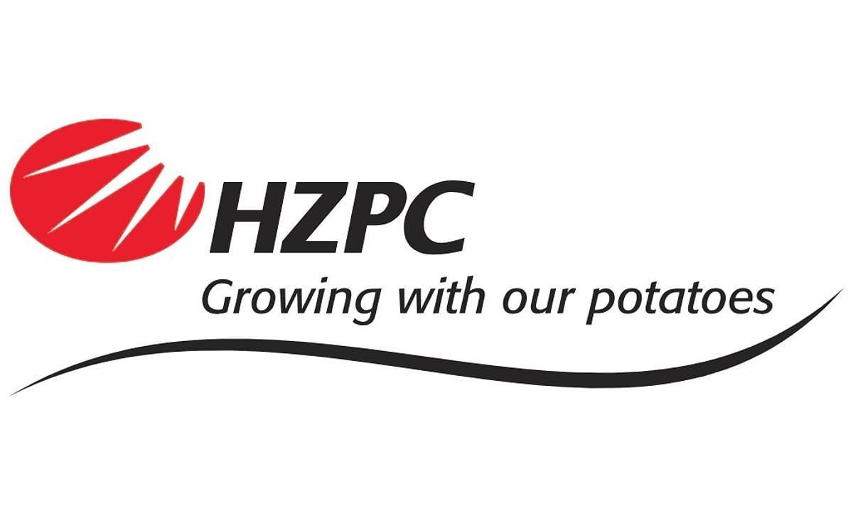 Logo de la compañía HZPC Logo de la compañía HZPC