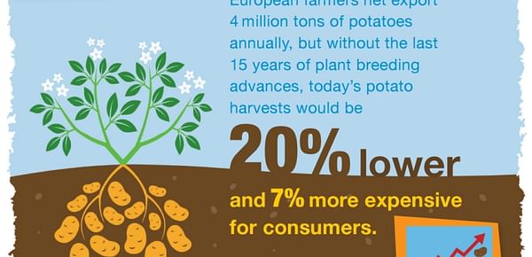The environmental benefits of potato breeding