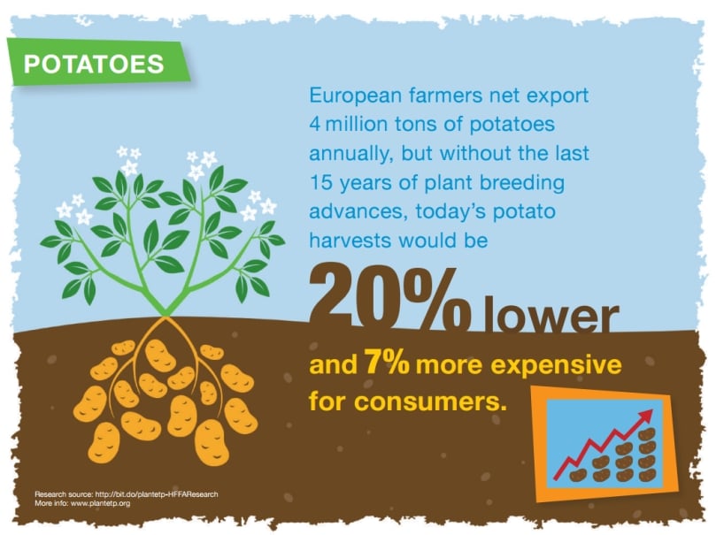 Today’s European potato harvests would be 20% lower and 7% more expensive for consumers without the last 15 years of plant breeding advances. Today’s European potato harvests would be 20% lower and 7% more expensive for consumers without the last 15 years of plant breeding advances.