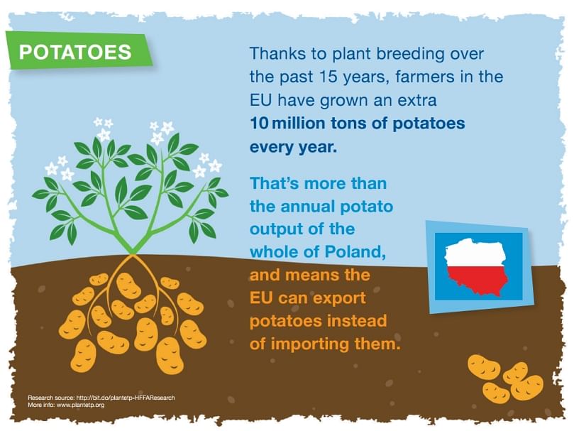 An extra 10 million tons of potatoes every year are grown by EU farmers thanks to potato breeding over the past 15 years. An extra 10 million tons of potatoes every year are grown by EU farmers thanks to potato breeding over the past 15 years.