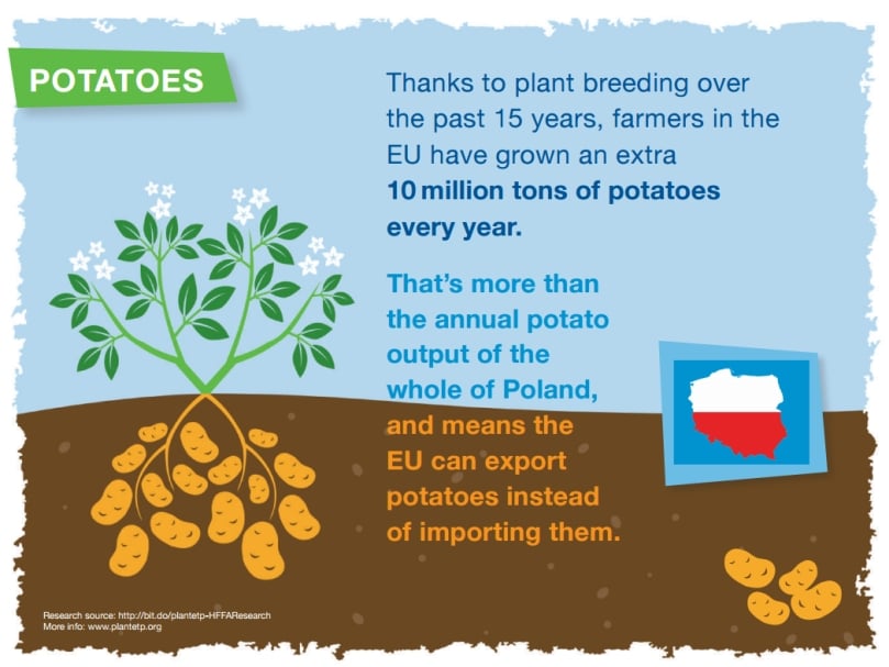 An extra 10 million tons of potatoes every year are grown by EU farmers thanks to potato breeding over the past 15 years. An extra 10 million tons of potatoes every year are grown by EU farmers thanks to potato breeding over the past 15 years.