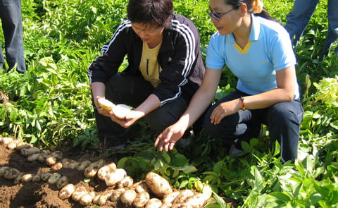 Challenges and opportunitiesfor HZPC in China Challenges and opportunitiesfor HZPC in China