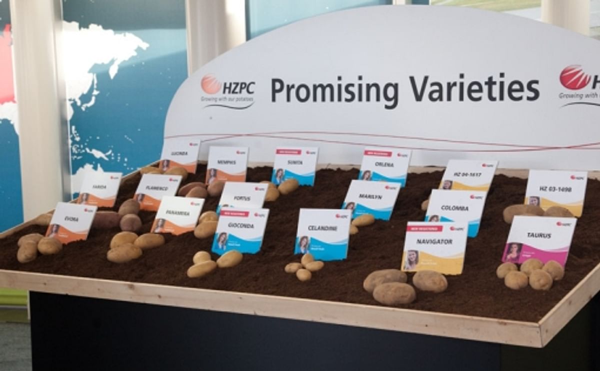 HZPC beëindigt deelneming in HZPC Sverige ab HZPC beëindigt deelneming in HZPC Sverige ab