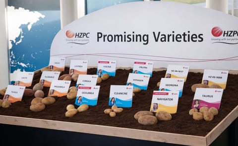 HZPC beëindigt deelneming in HZPC Sverige ab HZPC beëindigt deelneming in HZPC Sverige ab