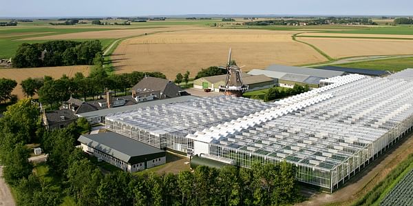 Lage opbrengst leidt tot een goed financieel jaar voor pootaardappelhandelaar HZPC Holland