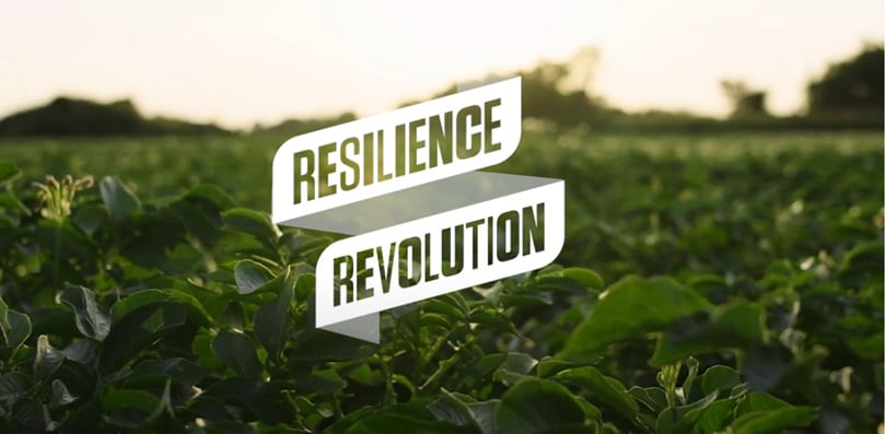HZPC Resilience Revolution HZPC Resilience Revolution