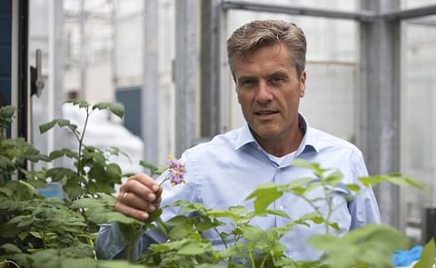 Robert Graveland, R&D manager at HZPC (Courtesy: HZPC) Robert Graveland, R&D manager at HZPC (Courtesy: HZPC)