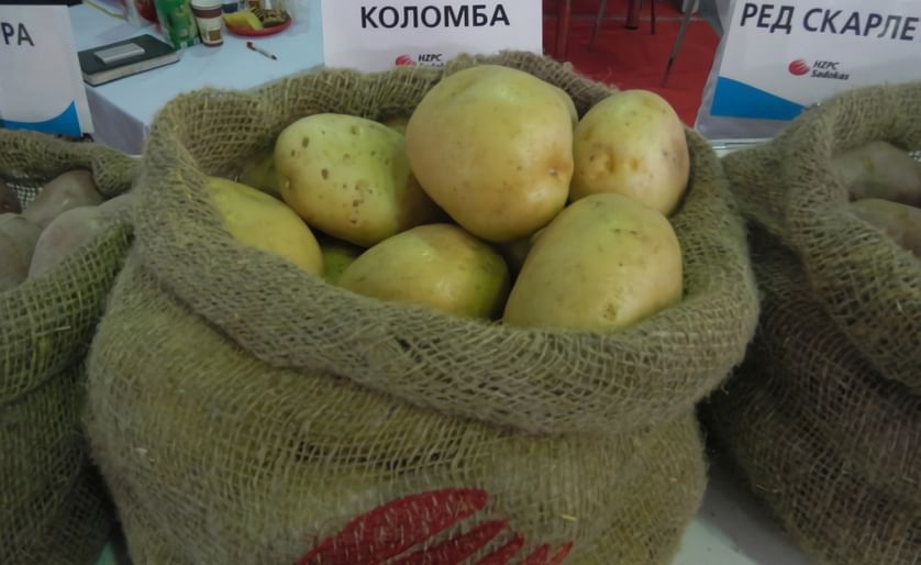 Sadokas Oy was established in 1996 by Mr. Jaakko Rahko to export seed potatoes to Russia.