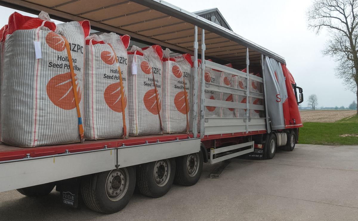 HZPC Seed potatoes are ready for transport to the United Kingdom (Courtesy: Pieter Huizinga)