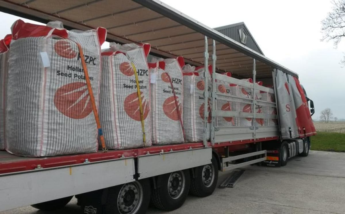 Seed Potato Price paid to Dutch HZPC farmers exceeds 30 euros Seed Potato Price paid to Dutch HZPC farmers exceeds 30 euros